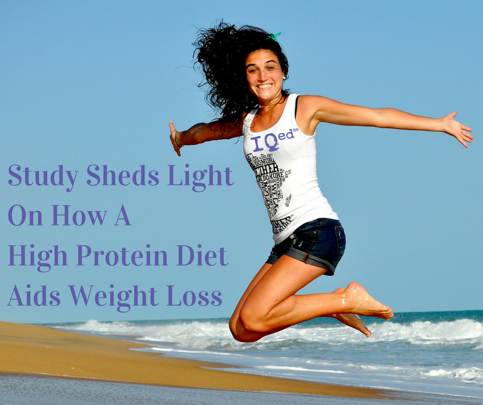 Study Sheds Light On How A High Protein Diet Aids Weight Loss