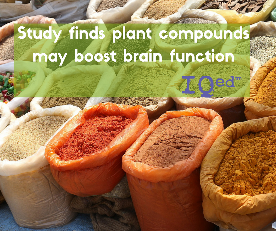 Study finds plant compounds may boost brain function